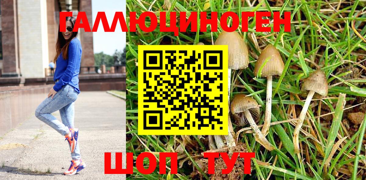 Белгород  Псилоцибиновые грибы Cubensis  Вход с VPN 