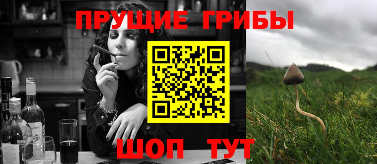 Галлюциногенные грибы мухоморы Белгород